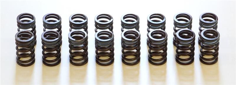 HKS 91-00 Infiniti G20 SR20DET Outer Valve Spring Set